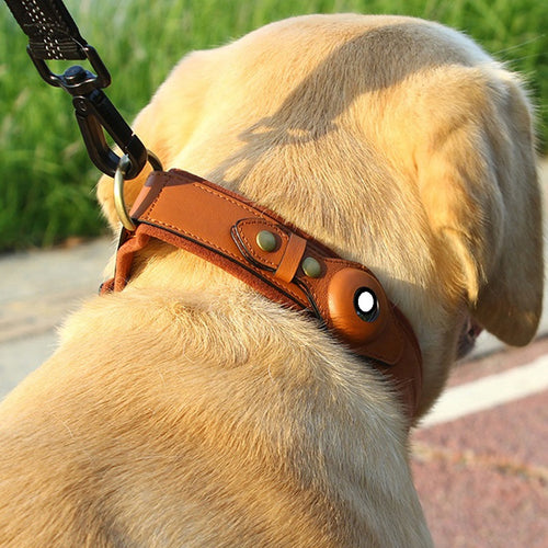 Pack Duo - Collier connecté pour chien en cuir avec traceur Bluetooth