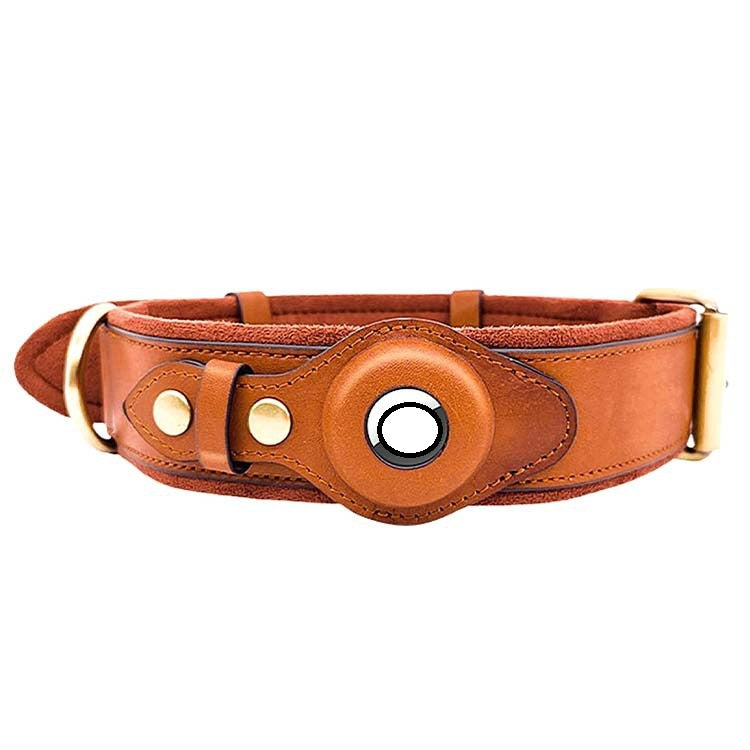 Collier connecté pour chien - vue complémentaire