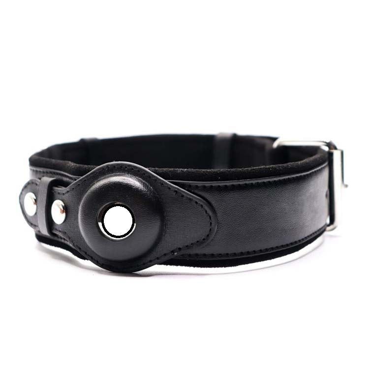 Collier connecté pour chien - porté par l'animal